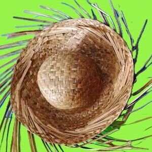 The pava is a straw hat made out of the leaves .12"